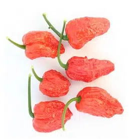 pimenta bhut jolokia 20 sementes 1046 e1495478542638