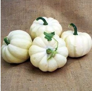 Abóbora Baby Boo Branca: 7 sementes