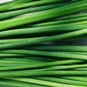 cebolinha todo ano ciboulette 20 sementes 0468 e1495725617679