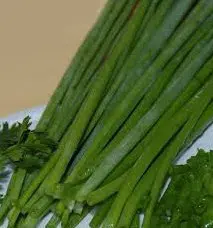 cebolinha todo ano ciboulette 20 sementes 8281 e1495724646272