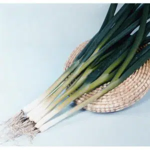 cebolinha todo ano ciboulette 20 sementes 8691