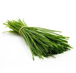 cebolinha todo ano ciboulette 20 sementes 9798 e1495725285834