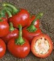 comprar sementes de pimenta bode vermelha 5 10 e1495852753318