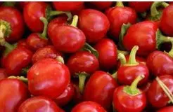 comprar sementes de pimenta bode vermelha 5 7 e1495853079487
