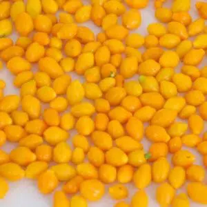 comprar sementes online pimenta cumari do para 10 e1495854988126