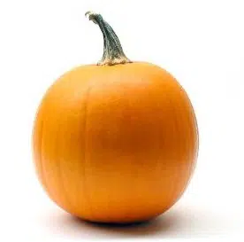 compre sementes de abobora mammoth mamute 7216 e1495585156807