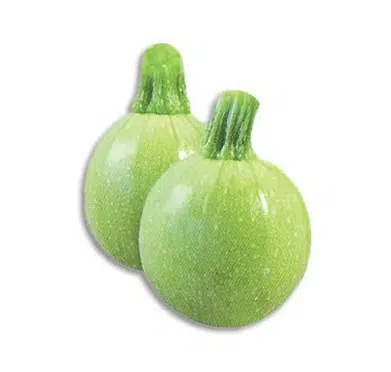 compre sementes de abobrinha redonda clara 6841 e1495557281667