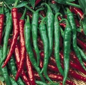 Pimenta Cayenne: 40 Sementes