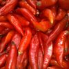 Pimenta Chili Mexicana: 20 sementes