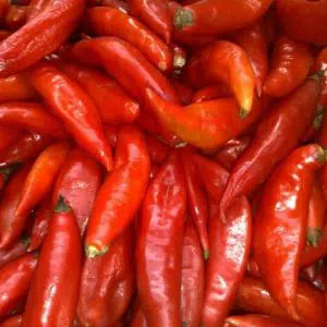 pimenta chili mexicana 20 sementes 8182 e1495810875323