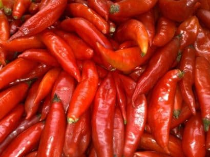 pimenta chili mexicana 20 sementes 8182 e1495810875323