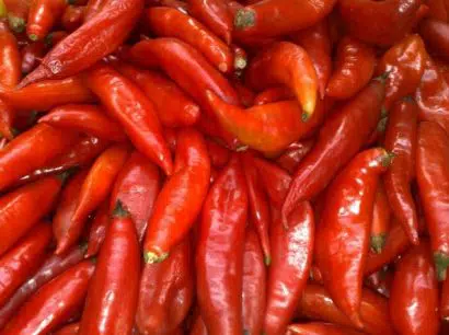 pimenta chili mexicana 20 sementes 8182 e1495810875323