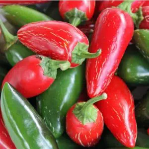 pimenta jalapenho jalapeno 20 sementes 5 2 e1495854527643