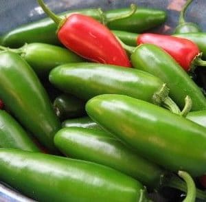 pimenta jalapenho jalapeno 20 sementes 5 e1495854682535