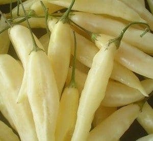 Pimenta Lemon Drop: 20 sementes