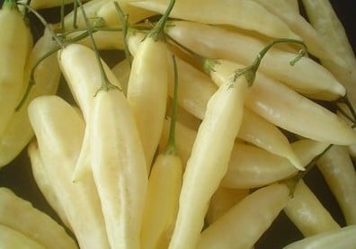 Pimenta Lemon Drop: 20 sementes