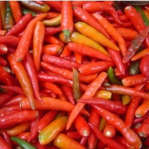 Pimenta Malagueta: 60 Sementes