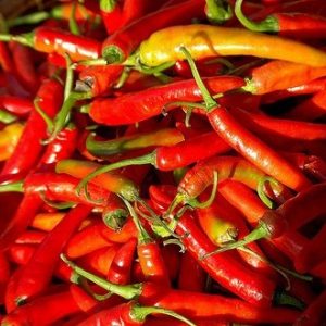 Pimenta Malagueta: 60 Sementes