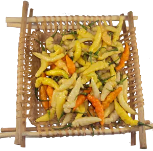 pimenta murupi da amazonia