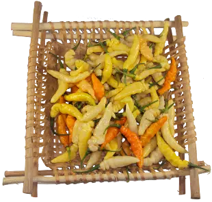pimenta murupi da amazonia
