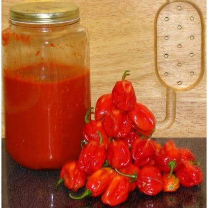 pimenta red habanero sementes 2952