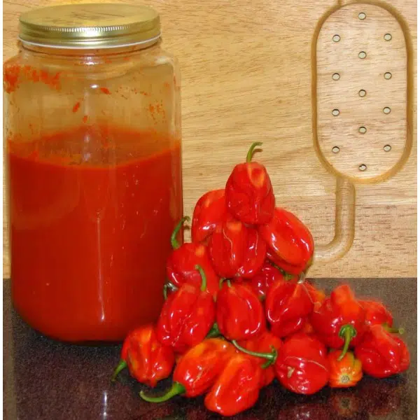 pimenta red habanero sementes 2952