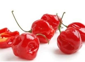 pimenta red habanero sementes 5374 e1495808334641