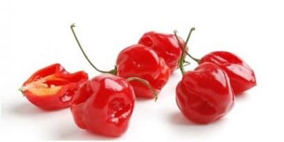 pimenta red habanero sementes 5374 e1495808334641