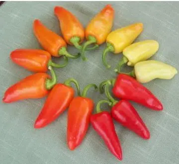 pimenta santa fe grande 1395 e1495743969256