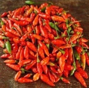 plantar pimenta chili mexicana 0003 e1495810209890