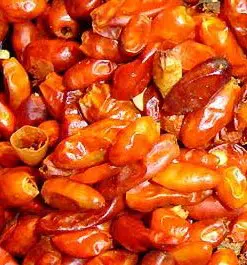 plantar pimenta chili mexicana 1286 e1495810839297