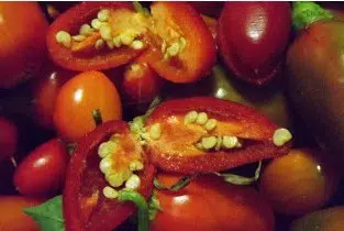 plantar pimenta chili mexicana 3400 e1495810231139