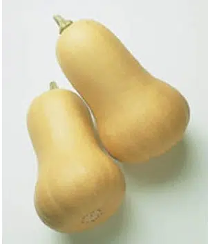 sementes de abobora butternut 4010 e1495636558628