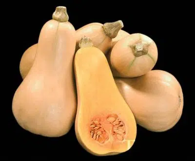 sementes de abobora butternut 8064 e1495636950289