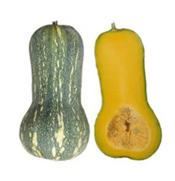 Sementes de Abóbora Majestade