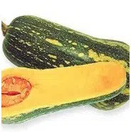 sementes de abobora majestade 9000 e1495585338703