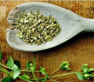 sementes de oregano 0652 e1495715903911