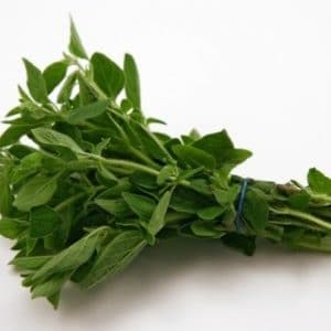 sementes de oregano 1455 e1495715923275