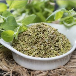 sementes de oregano 2064 e1495715735264