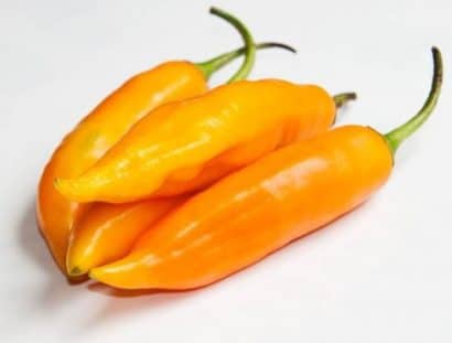 sementes de pimenta aji amarela 3521 e1495808114901