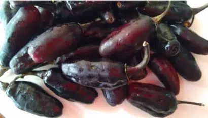 sementes de pimenta baiana 4391 e1495811798763