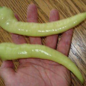 sementes de pimenta banana pepper 4524 e1495741176830