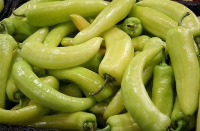 sementes de pimenta banana pepper 4788 e1495741994308