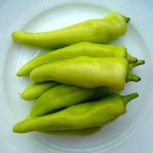 sementes de pimenta banana pepper 9492 e1495742040132