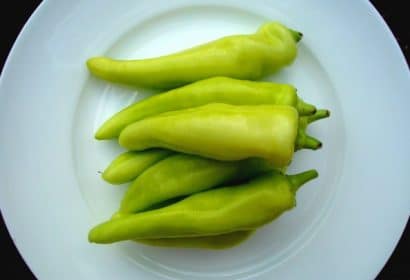 sementes de pimenta banana pepper 9492 e1495742040132