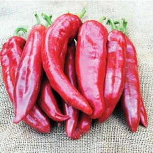 sementes de pimenta big jim numex 0172 e1495811080208