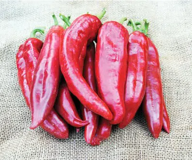 sementes de pimenta big jim numex 0172 e1495811080208