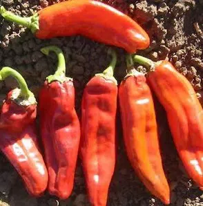 sementes de pimenta big jim numex 5175 e1495811359400