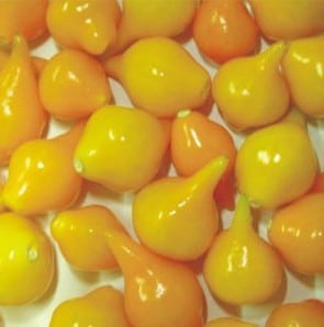 sementes de pimenta biquinho amarela 8449 e1495812637585