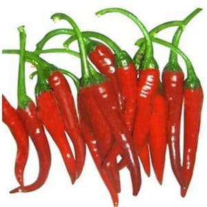 sementes de pimenta cayenne 2719 e1495855831703